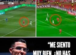 Enlace a Precisamente por eso pregunta, bicho querido