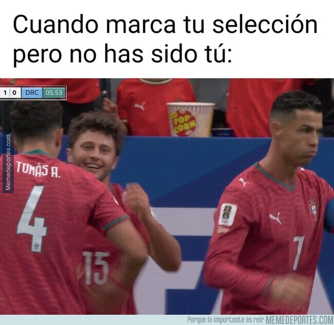1241528 - Se le ve feliz al Bicho