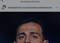 Enlace a El mensaje de Haaland a Bernardo Silva tras confirmarse su fichaje por el Real Madrid