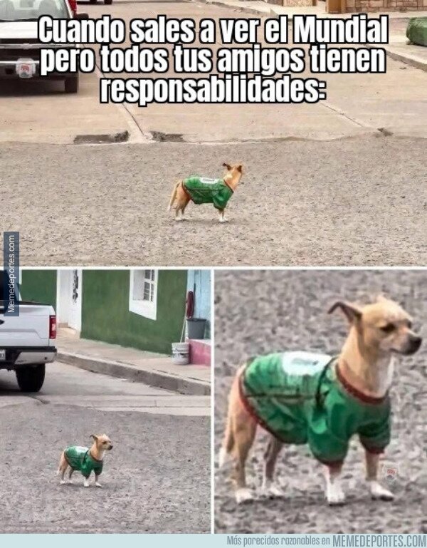 1241566 - Con la edad los mundiales no se viven igual
