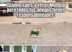 Enlace a Con la edad los mundiales no se viven igual