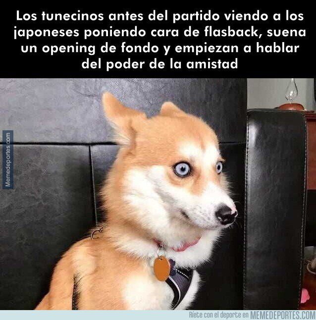 1241698 - Estaban jodidísimos