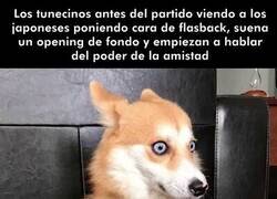 Enlace a Estaban jodidísimos