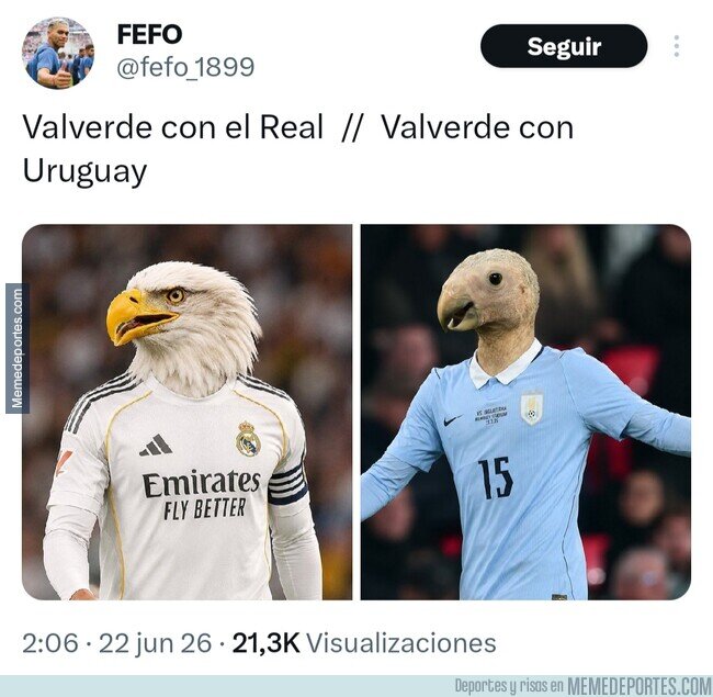 1241712 - El pájaro se desplumó, por @fefo_1899