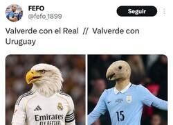 Enlace a El pájaro se desplumó, por @fefo_1899