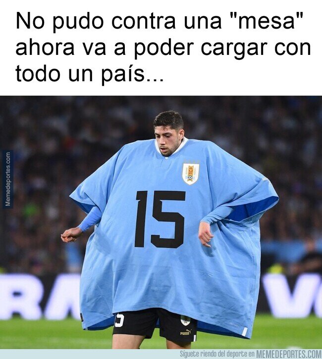1241782 - ¿Cuando piensa aparecer el pajarito boxeador?