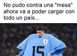 Enlace a ¿Cuando piensa aparecer el pajarito boxeador?