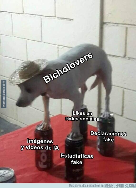 1241947 - Nunca los vi tan desesperados en mi vida