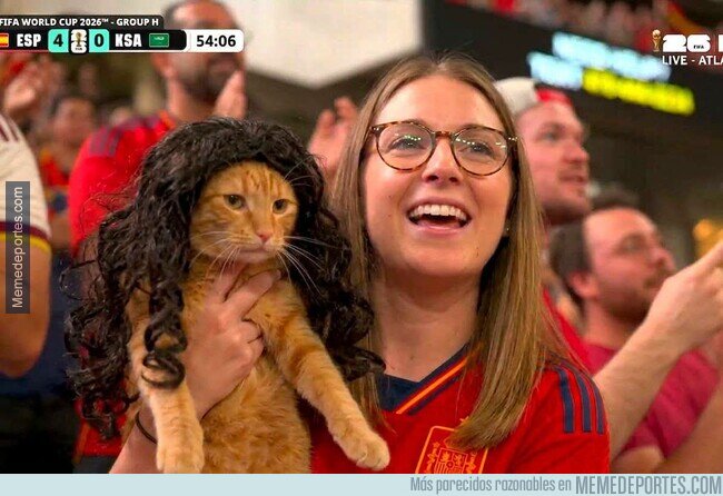 1241948 - El gato Cucurella se ha hecho canon