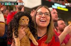 Enlace a El gato Cucurella se ha hecho canon