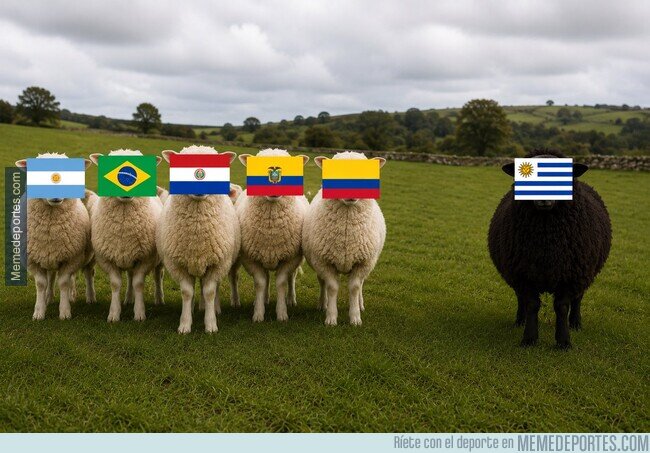 1242034 - La oveja negra de Sudamérica