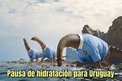 Enlace a Pausa de hidratación para los charruas