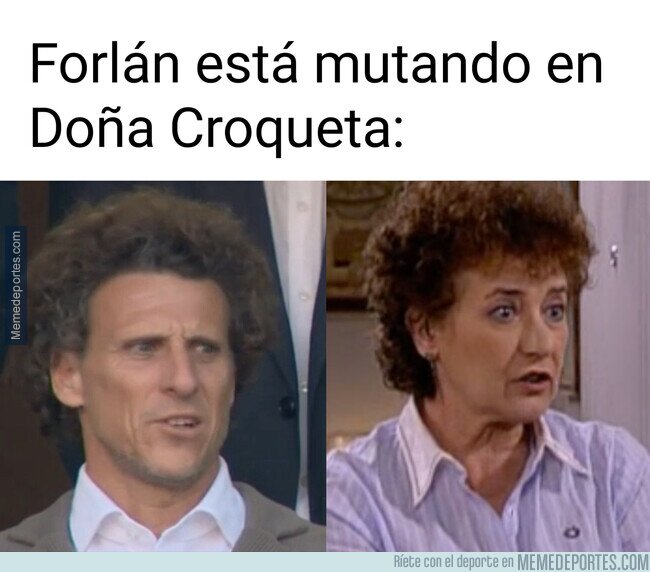 1242108 - Ese pelo lo he visto antes