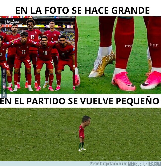 1242150 - Los tamaños del bicho