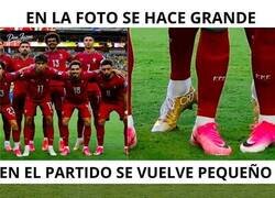 Enlace a Los tamaños del bicho