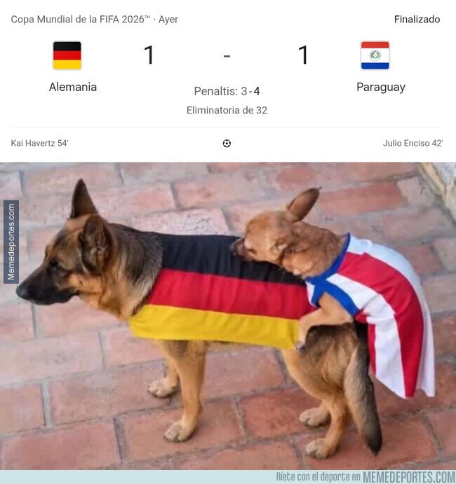 1242232 - El pequeño domó al grande