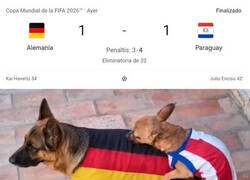 Enlace a El pequeño domó al grande