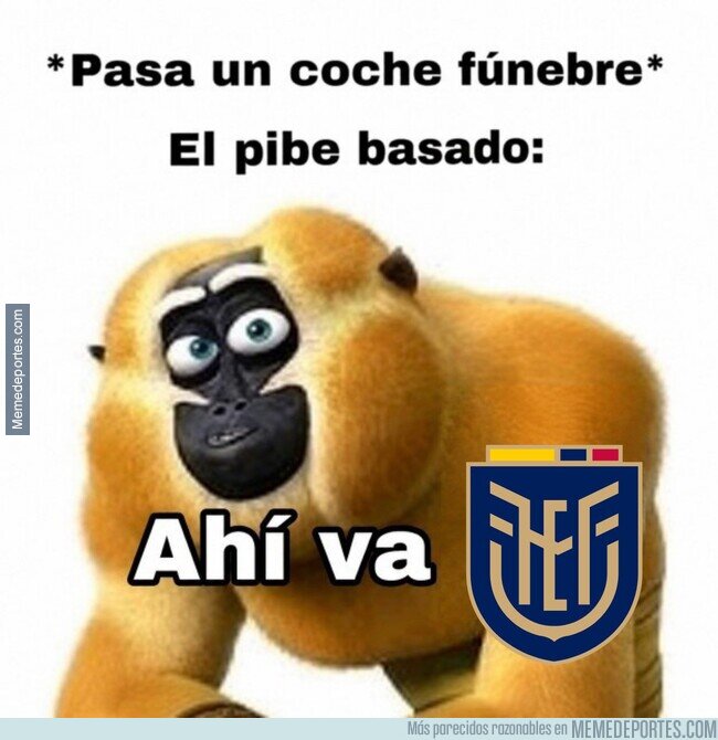 1242299 - Decepcionante Mundial de Ecuador