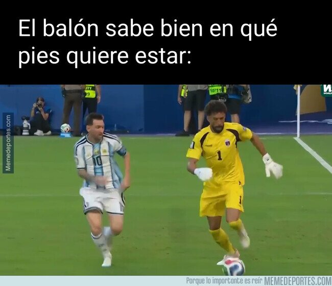 1242475 - La pelota es sabia