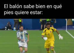 Enlace a La pelota es sabia