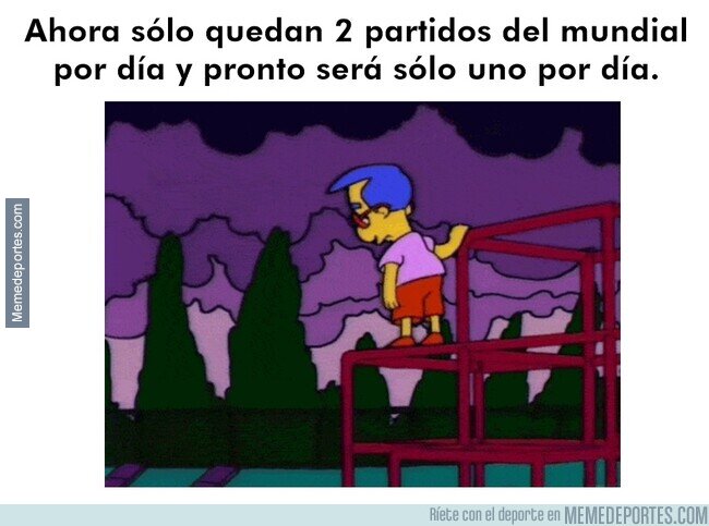 1242567 - Qué bonito viaje está siendo