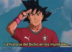 Enlace a Hasta siempre, Bicho