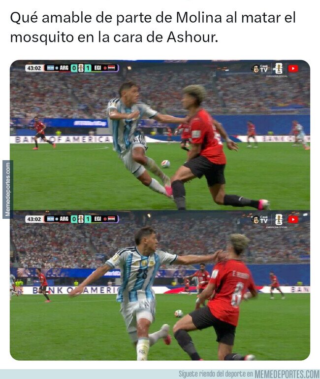 1242839 - Qué detalle de Molina