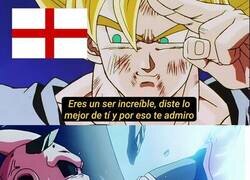 Enlace a Adiós a una de las revelaciones del Mundial ñ