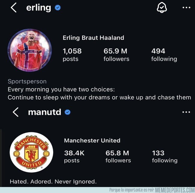 1243141 - Así salió Haaland del Mundial