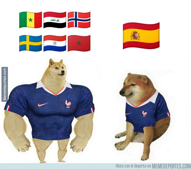 1243204 - Francia contra nosotros no fue la misma que la del resto del Mundial