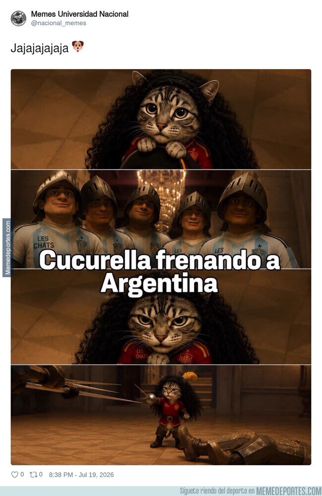 1243713 - El gato se puso las botas, por @nacional_memes