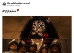 Enlace a El gato se puso las botas, por @nacional_memes