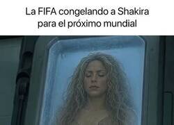 Enlace a Nos vemos en cuatro años