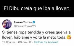 Enlace a Los tuits antiguos de Ferran son para rescatarlos