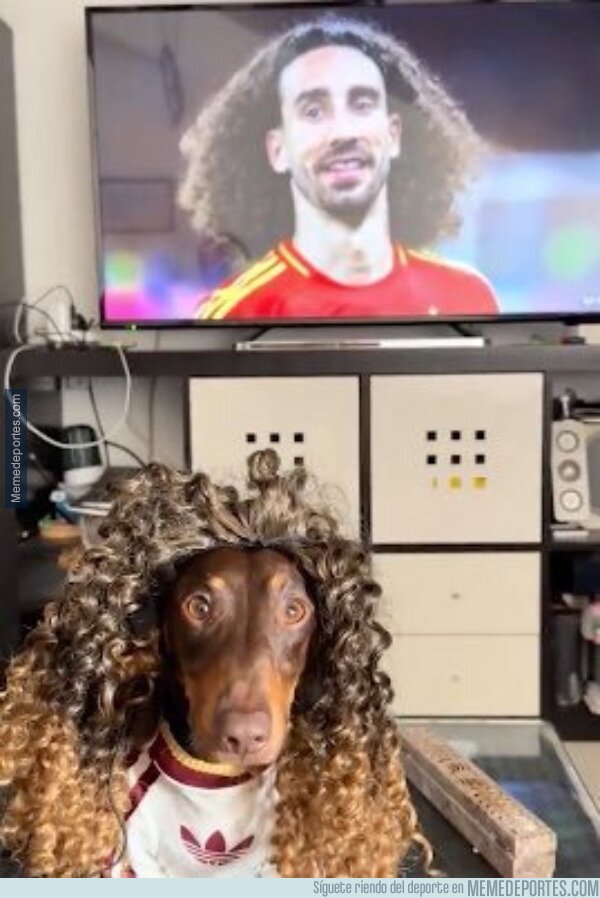 1243866 - Cucurella también tiene perro