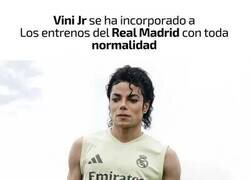 Enlace a Vini Jackson