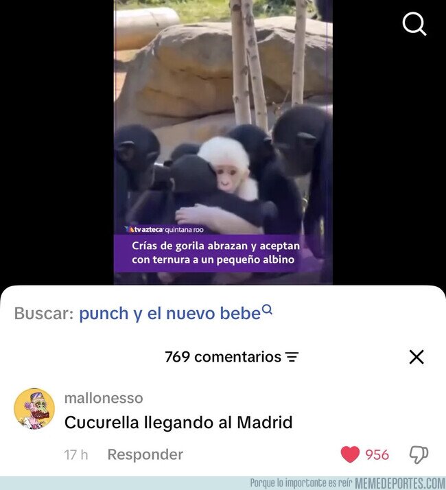 1244130 - He dado una voltereta con el comentario