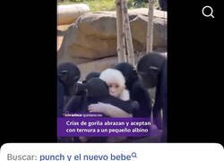 Enlace a He dado una voltereta con el comentario