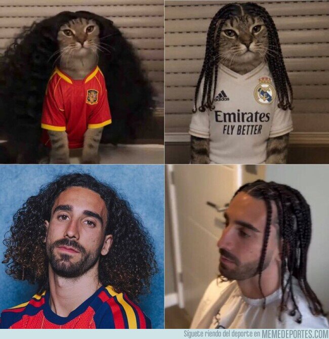1244252 - Las 2 versiones de Cucurella