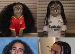 Enlace a Las 2 versiones de Cucurella