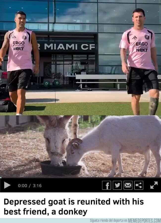 1244267 - Messi ya está de vuelta a los entrenamientos del Inter Miami