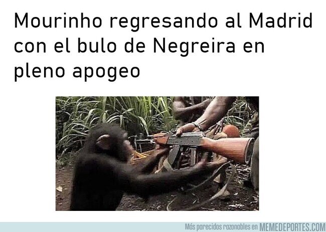 1244424 - Espero con ansias esas ruedas de prensa