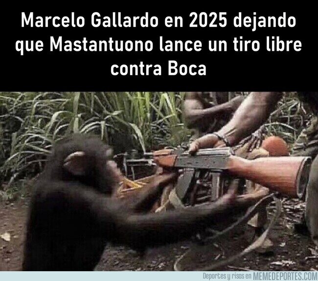 1244447 - No tiene ni idea de lo que hizo ese día