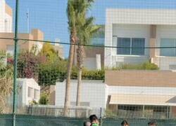 Enlace a Lo del Elche tiene que ser una apuesta