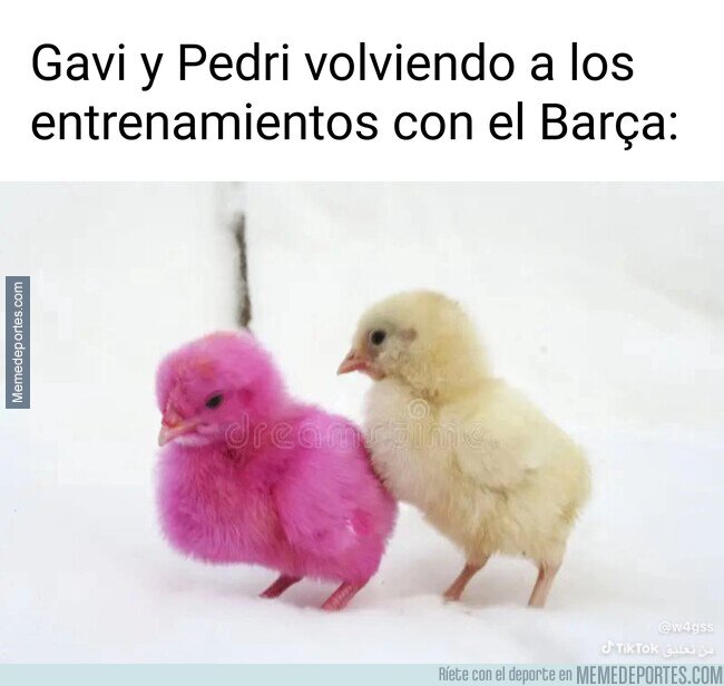 1244659 - Nuevos looks en Can Barça