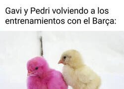 Enlace a Nuevos looks en Can Barça
