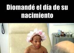 Enlace a Pura genética, obviamente