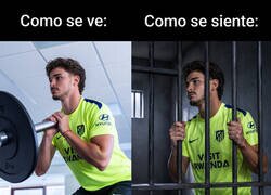 Enlace a Liberen a Julián