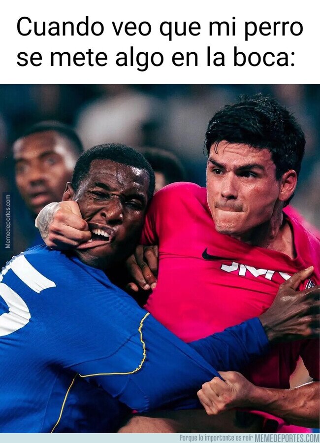1244771 - ¡Escúpelo, Firulais!