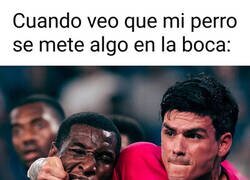 Enlace a ¡Escúpelo, Firulais!